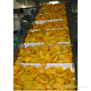 Mesin Pegawe Jus / Pulp Processing Mesin